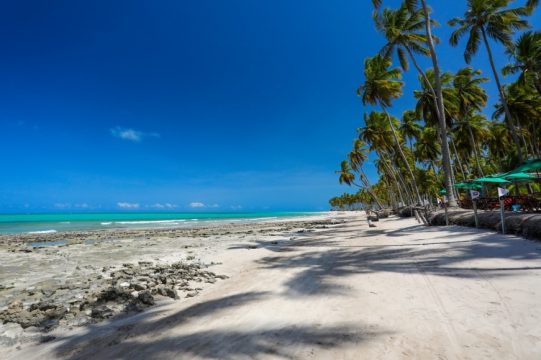 Praias paradisíacas da região da Costa dos Corais em Maragogi no estado de Alagoas. Foto: Rafael Queiroz