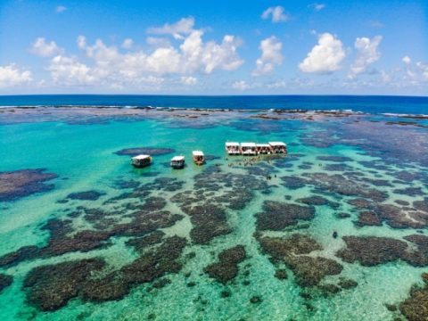 Para chegar as piscinas naturais é necessário contratar os serviços de um catamarã ao custo de R$ 50,00 por pessoa. Foto: Rafael Munhoz e W. Benedetti