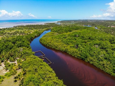 Rio Tatuamunha onde é reallizada a recuperação dos peixes boi, que posteriormente são devolvidos a natureza. Foto: Rafael Munhoz